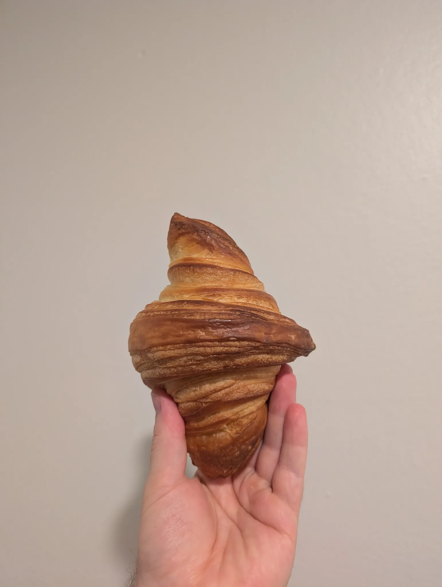 Plain Croissant