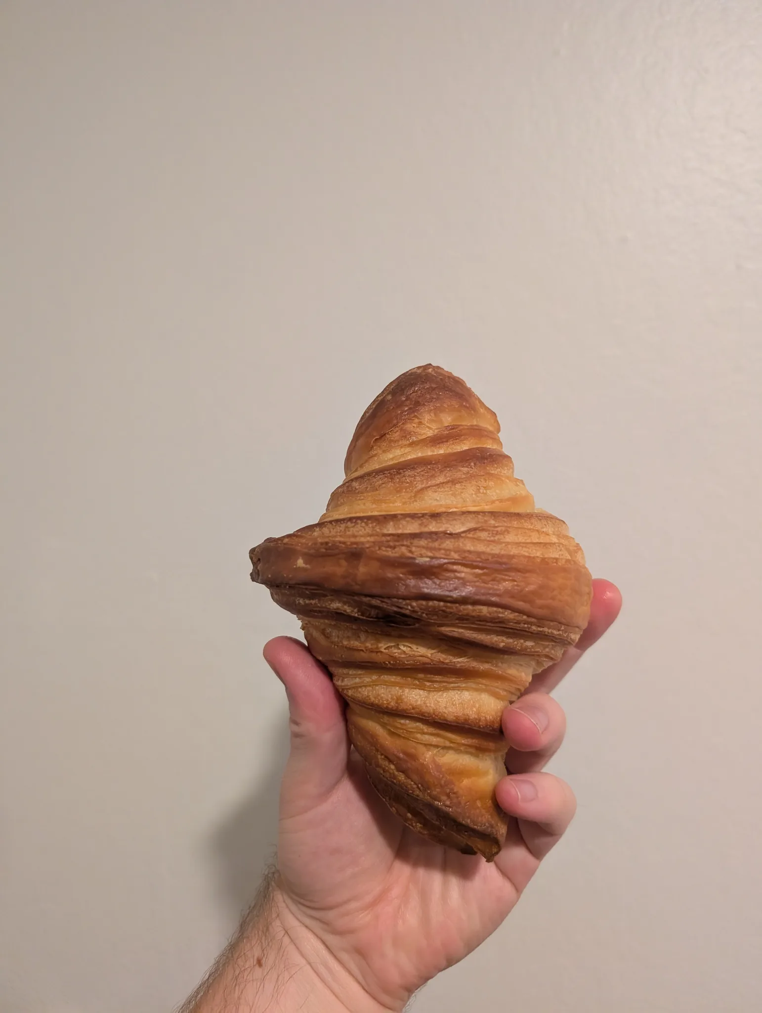 Plain Croissant